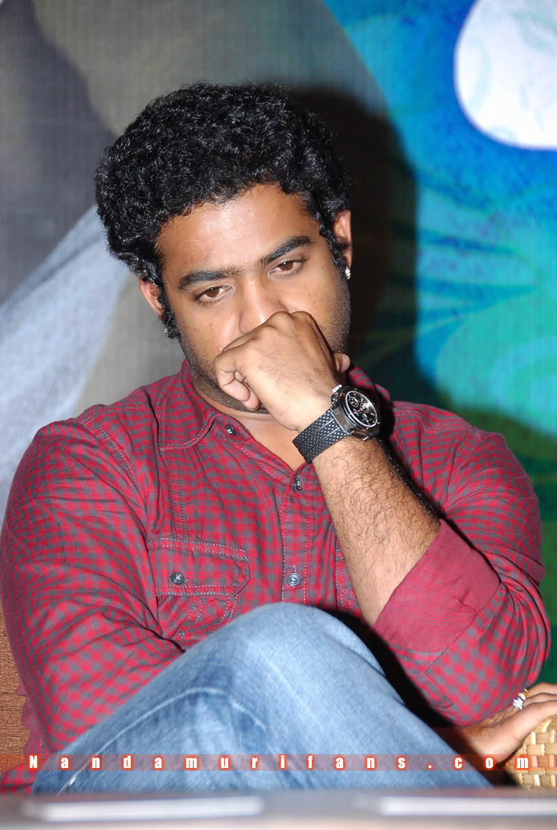 Brindavanam_Successmeet_007.jpg