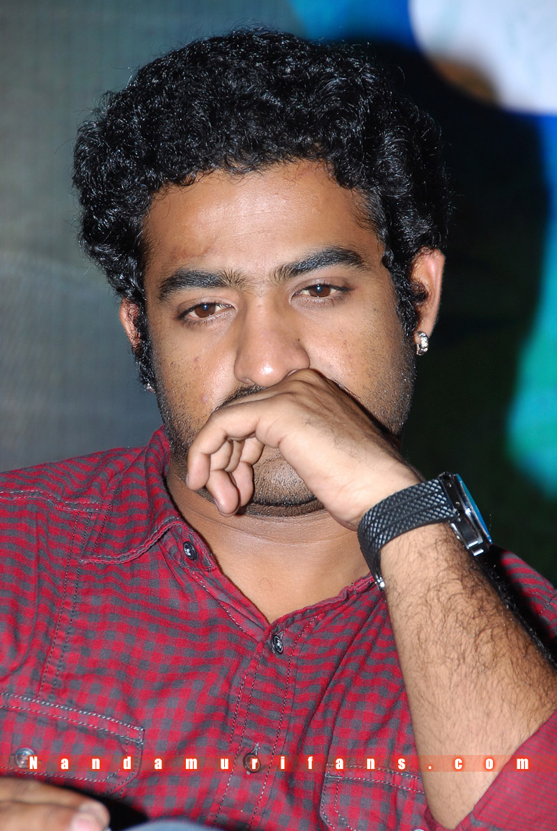 Brindavanam_Successmeet_008.jpg