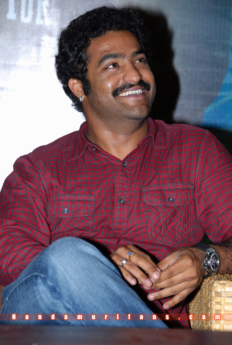 Brindavanam_Successmeet_019.jpg