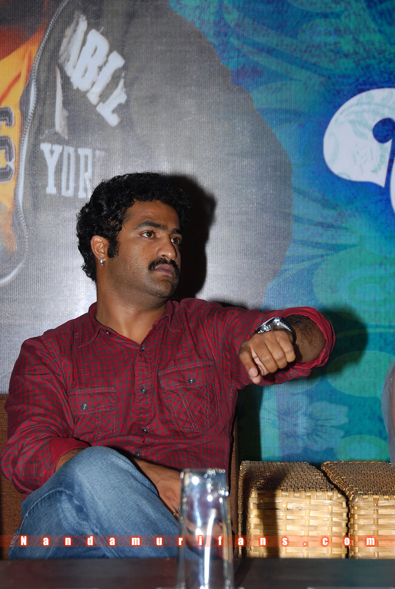 Brindavanam_Successmeet_031.jpg