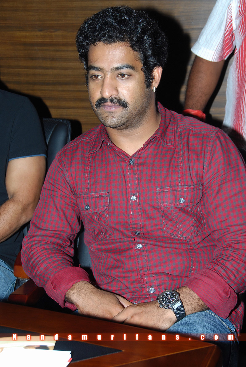 Brindavanam_Successmeet_038.jpg