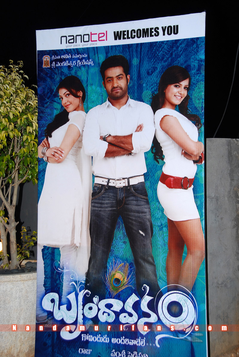 Brindavanam_Successmeet_053.jpg