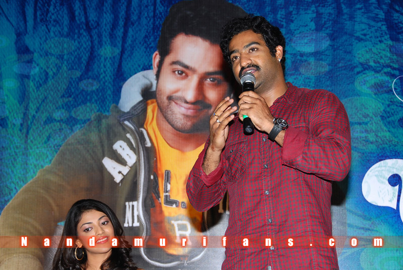 Brindavanam_Successmeet_067.jpg