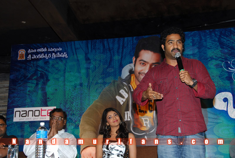 Brindavanam_Successmeet_069.jpg