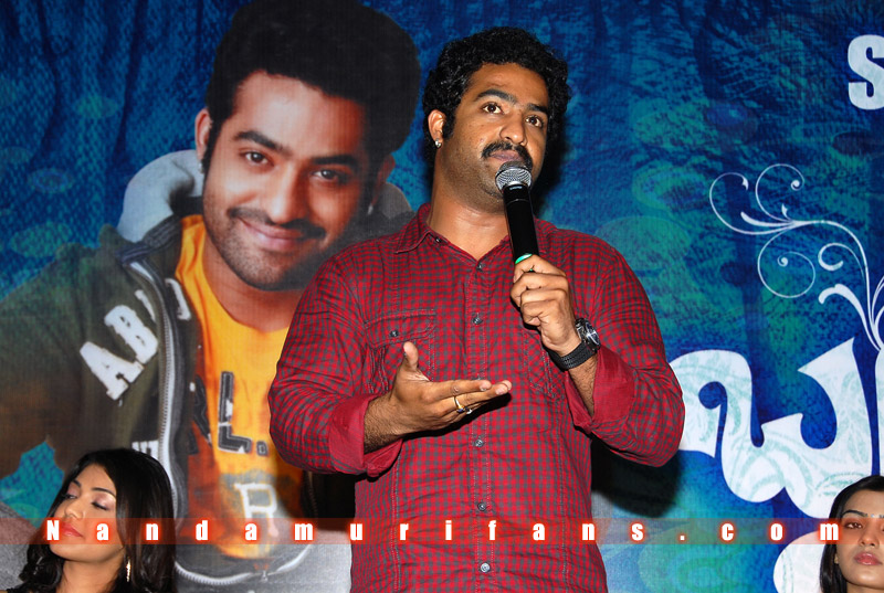 Brindavanam_Successmeet_073.jpg