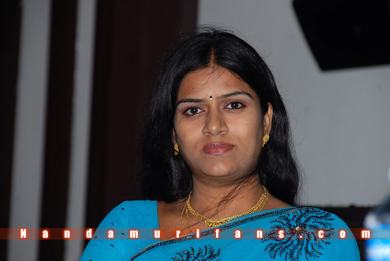 Brindavanam_Successmeet_086.jpg