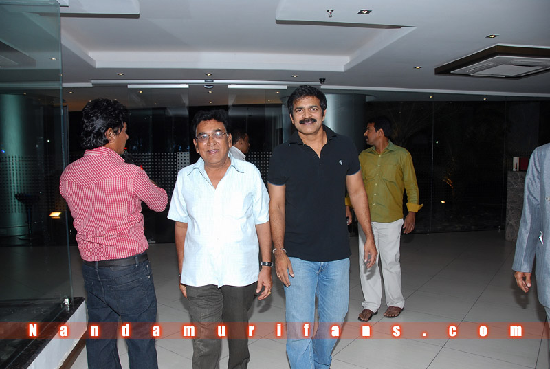 Brindavanam_Successmeet_108.jpg