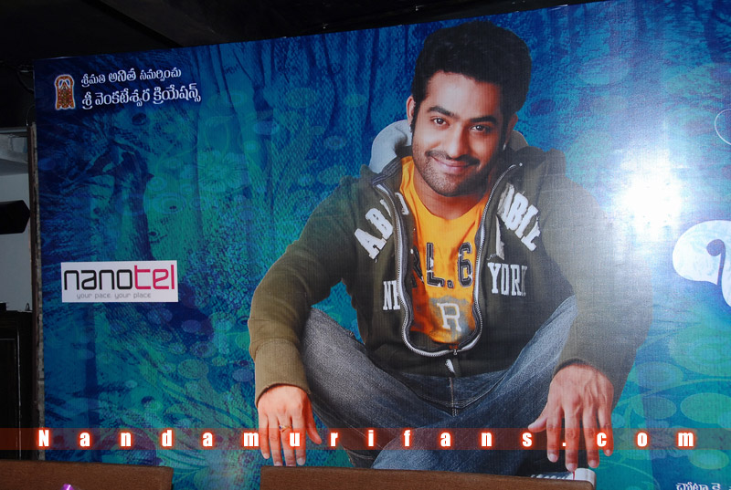 Brindavanam_Successmeet_109.jpg