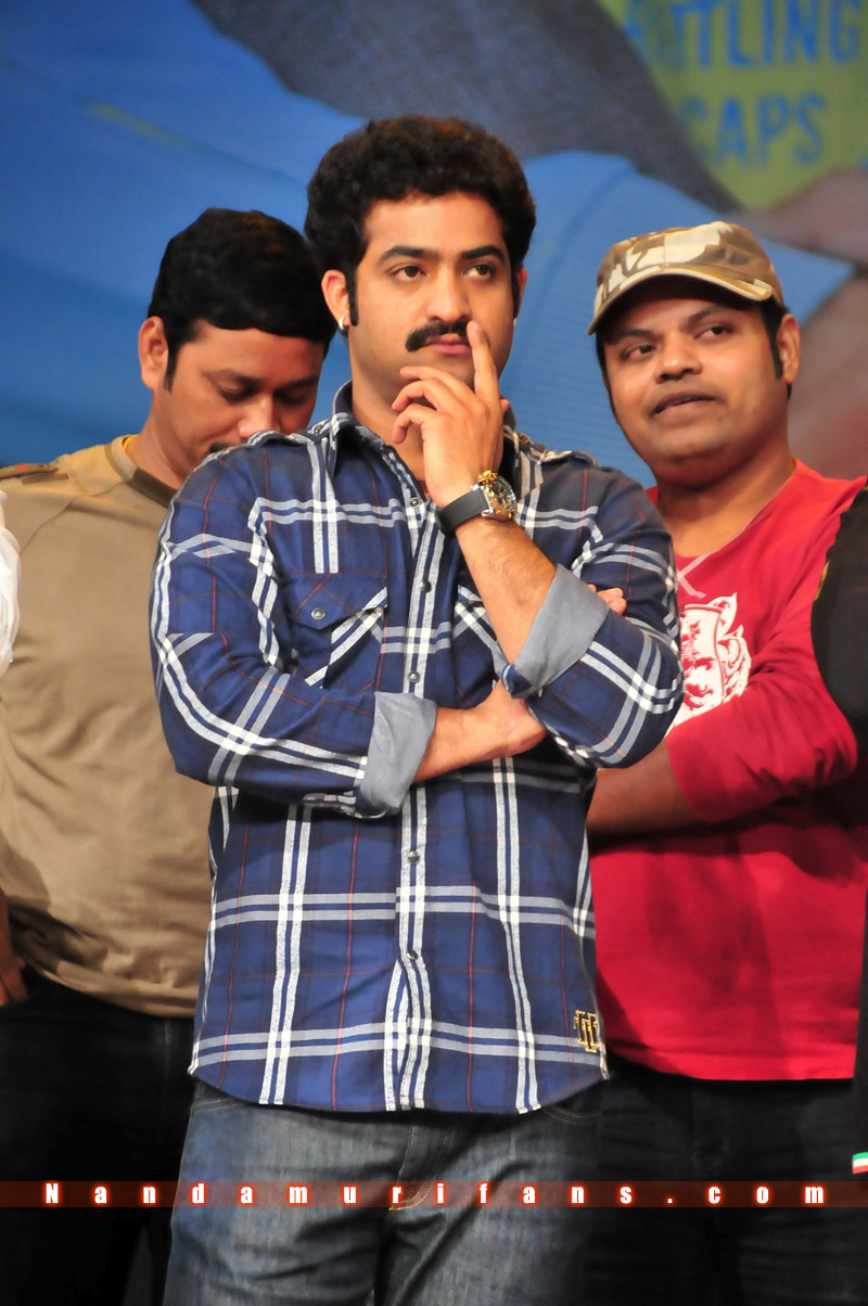 Brindavanam_TPD_003.jpg
