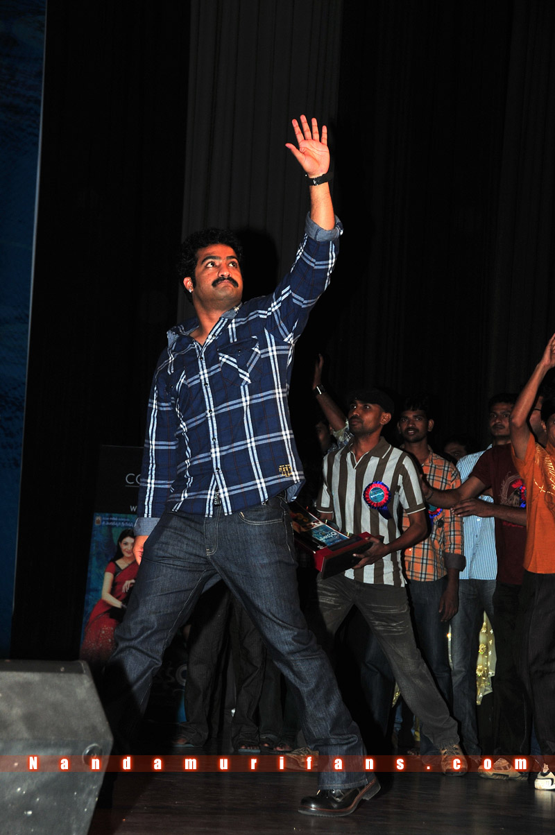 Brindavanam_TPD_006.jpg