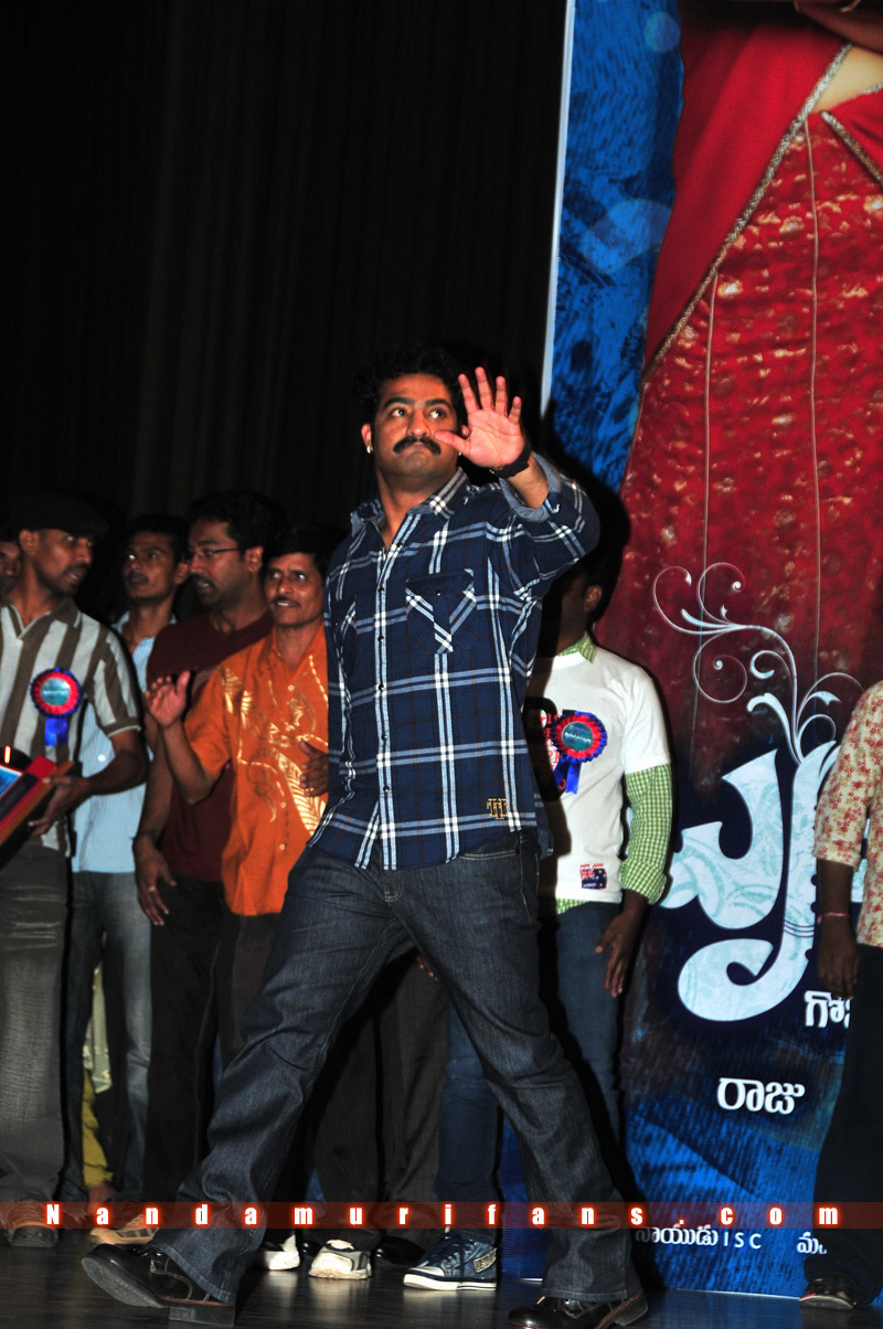 Brindavanam_TPD_007.jpg