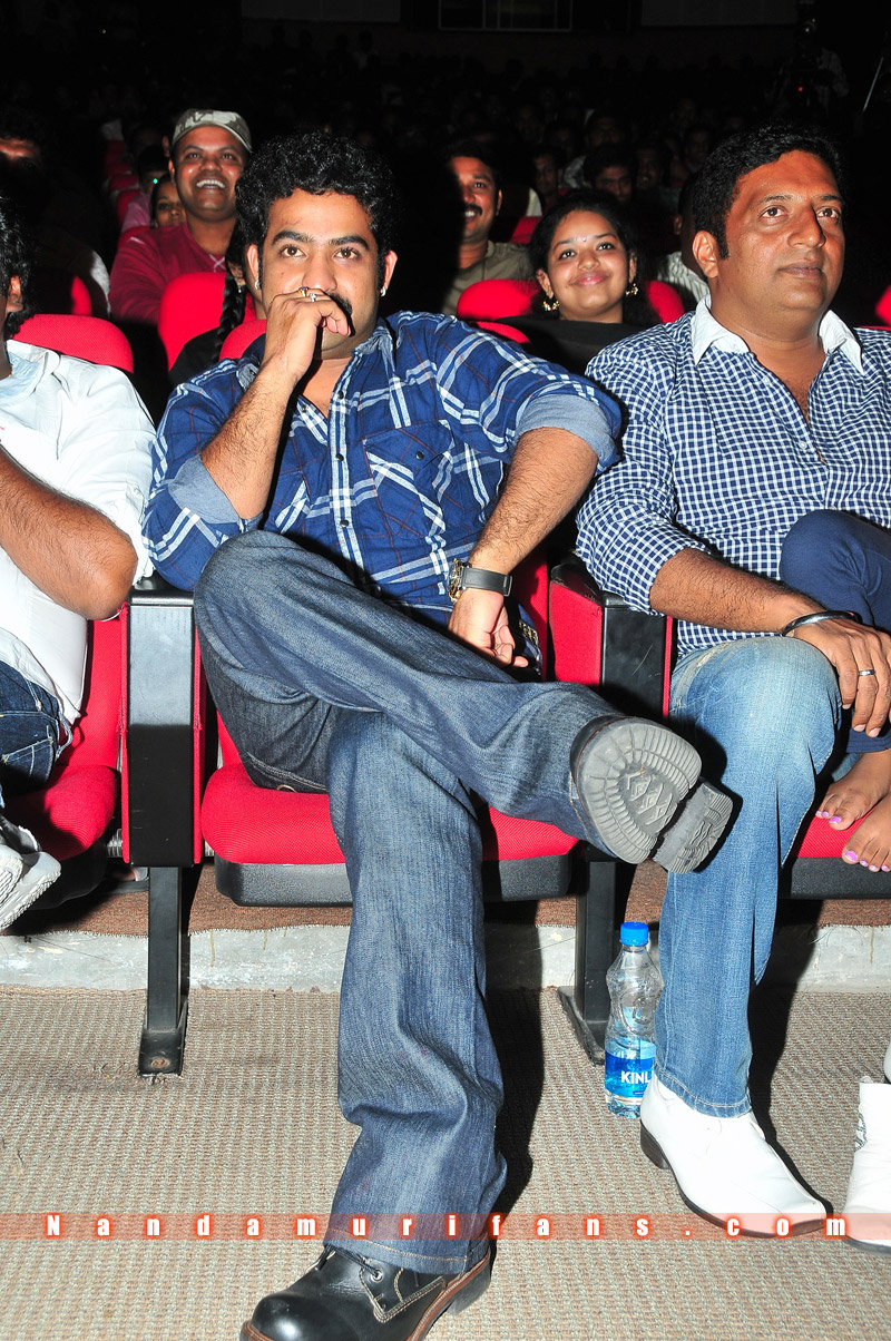 Brindavanam_TPD_012.jpg