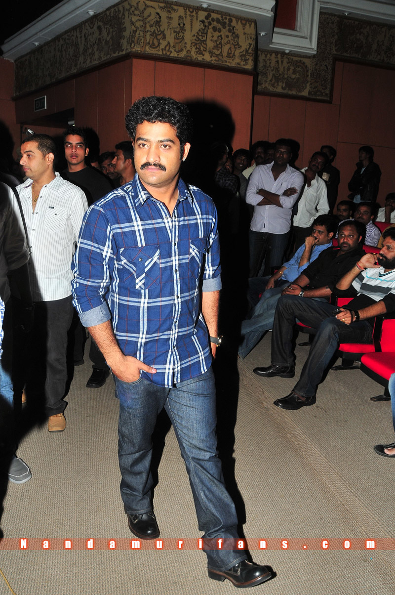 Brindavanam_TPD_021.jpg