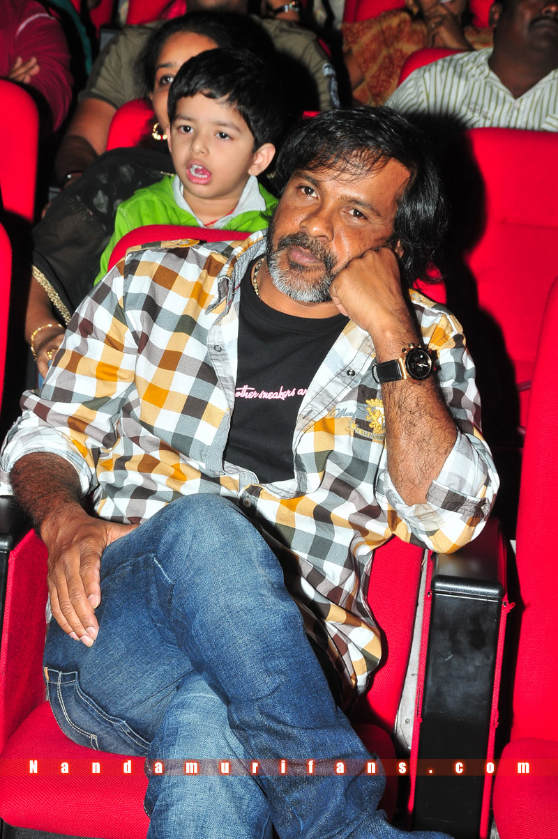 Brindavanam_TPD_026.jpg