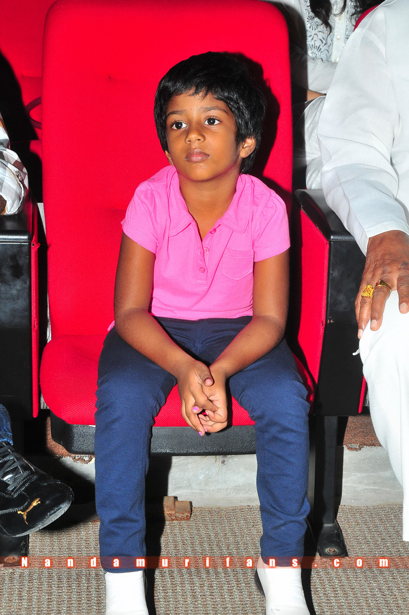 Brindavanam_TPD_027.jpg