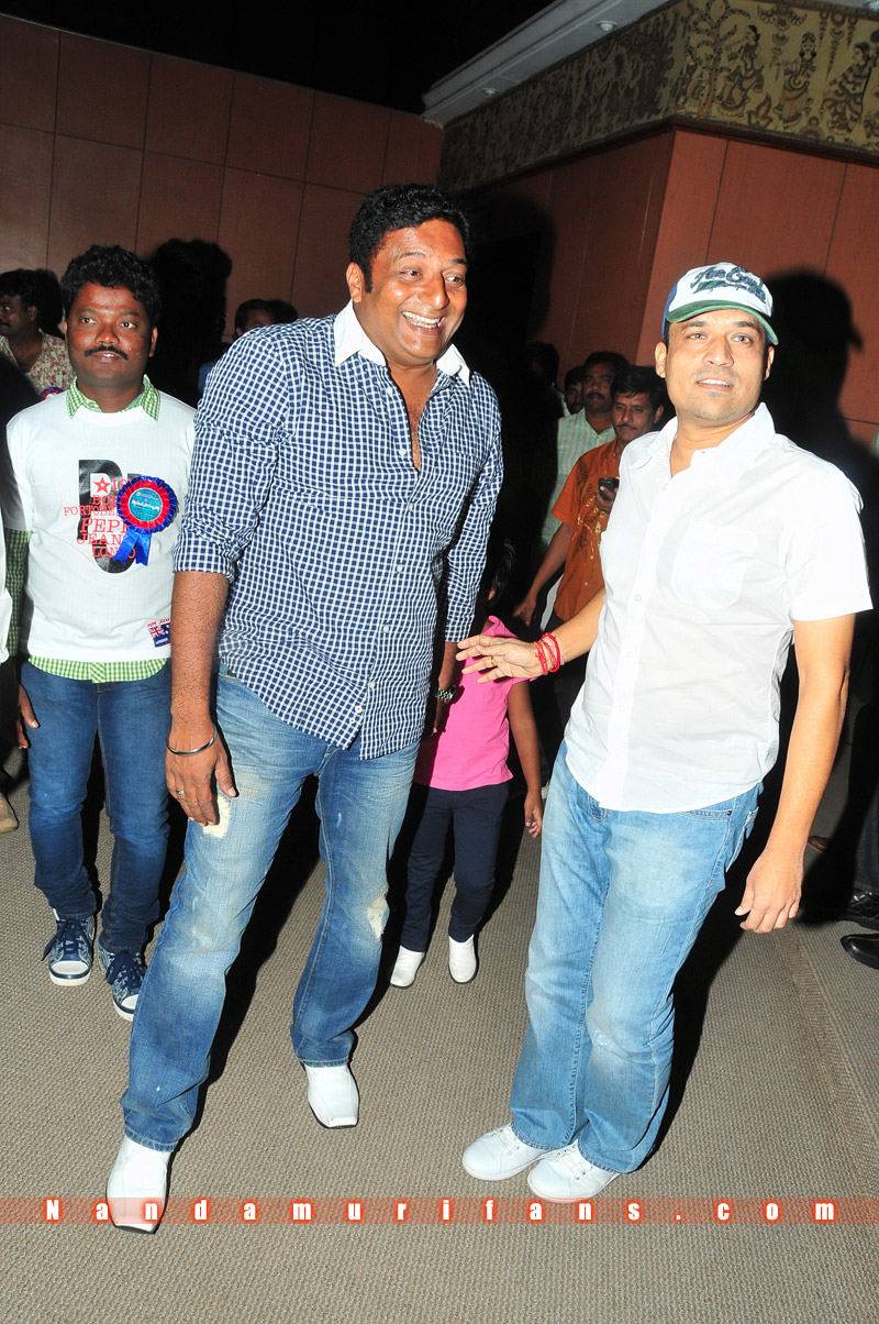 Brindavanam_TPD_028.jpg