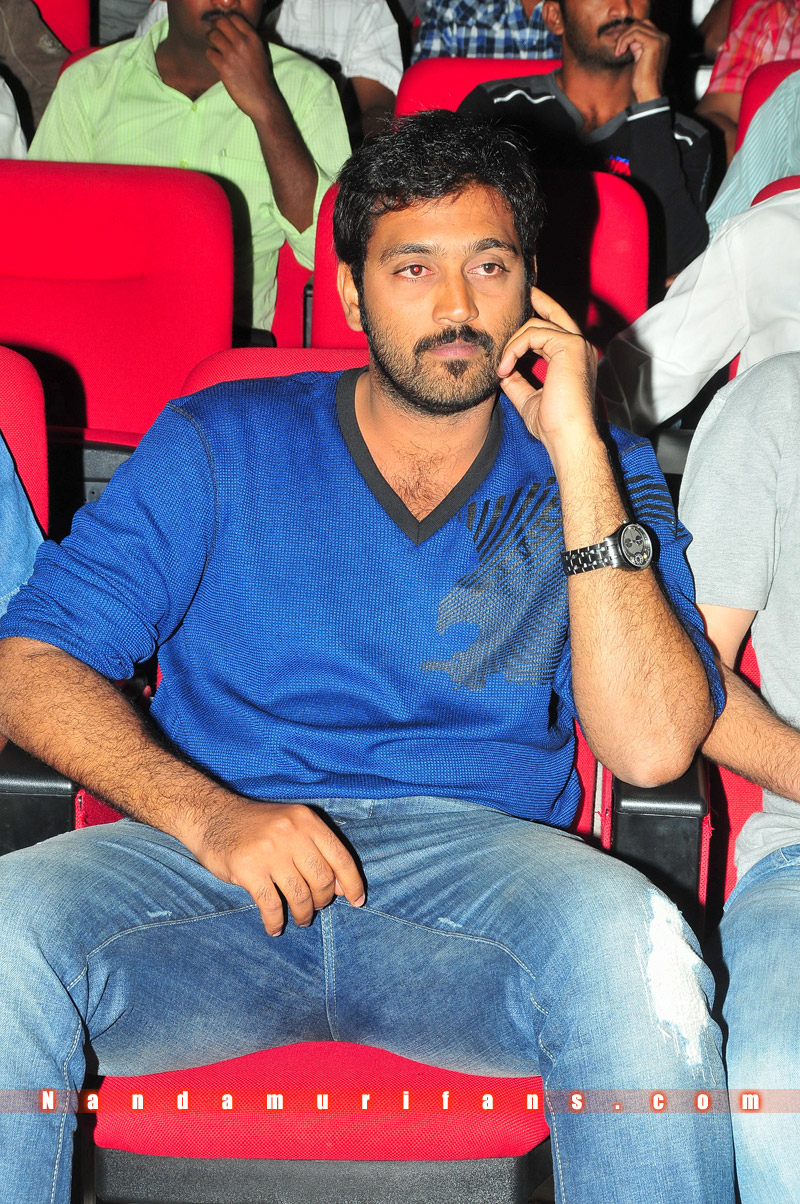 Brindavanam_TPD_029.jpg