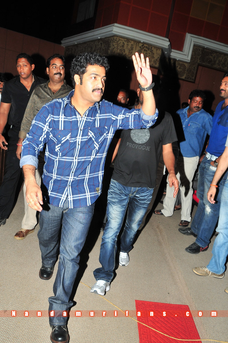 Brindavanam_TPD_030.jpg