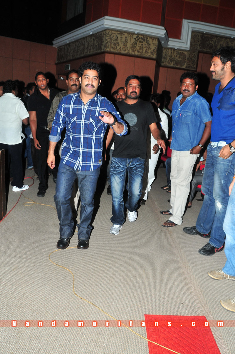 Brindavanam_TPD_031.jpg
