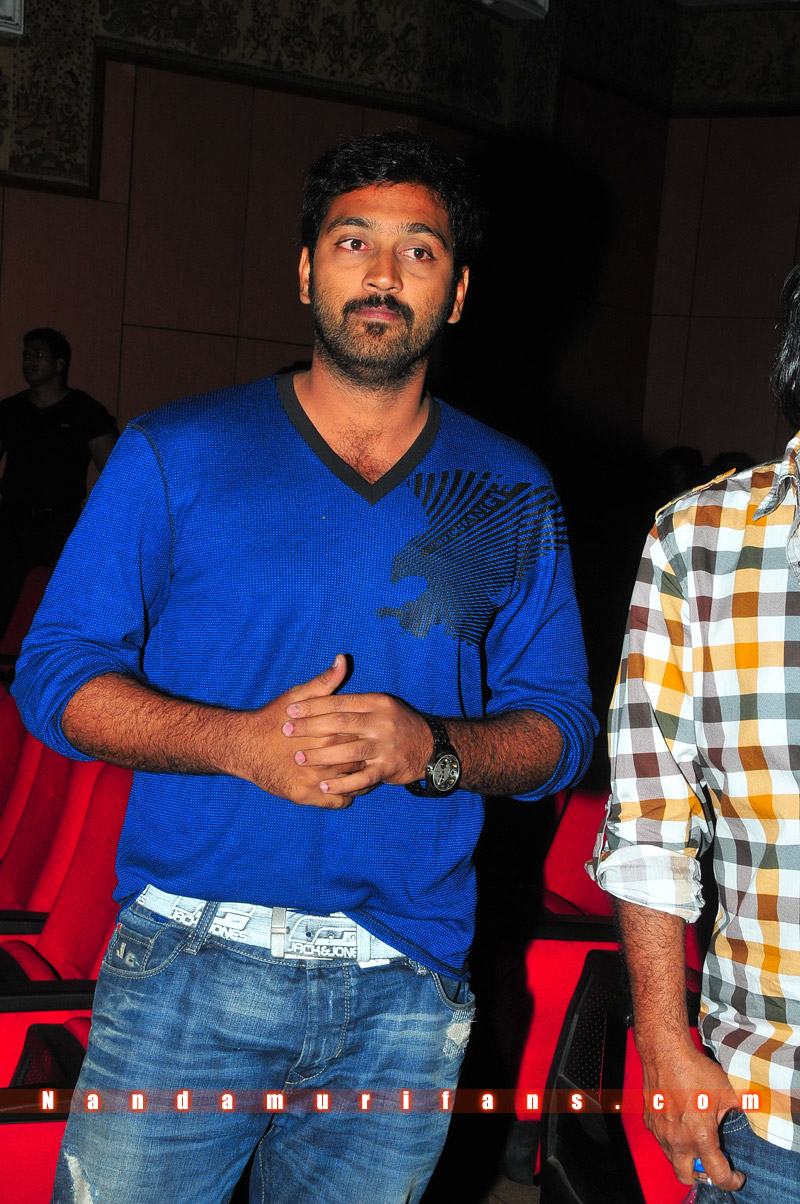 Brindavanam_TPD_033.jpg