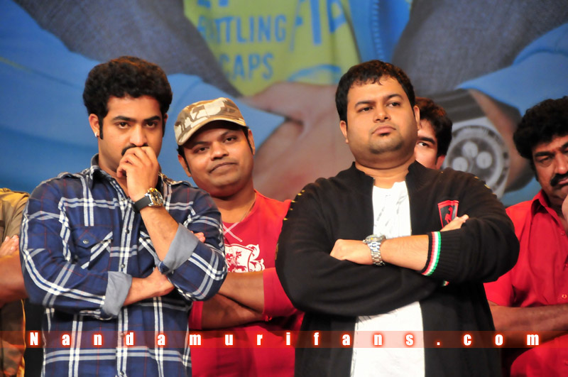 Brindavanam_TPD_035.jpg