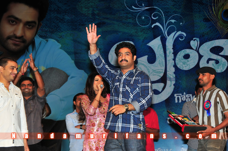 Brindavanam_TPD_048.jpg