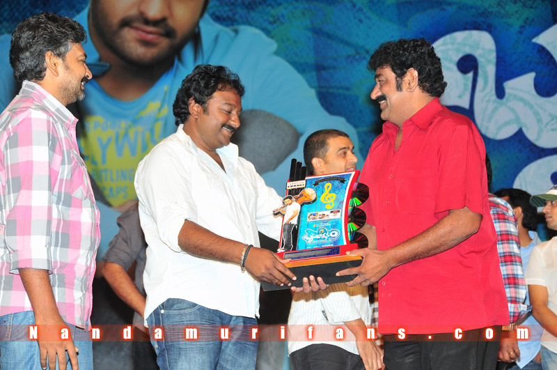 Brindavanam_TPD_056.jpg
