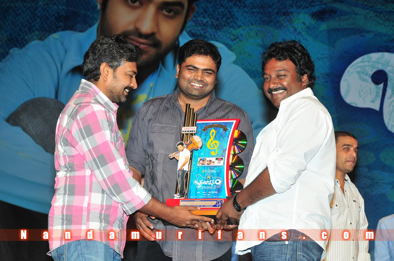 Brindavanam_TPD_060.jpg