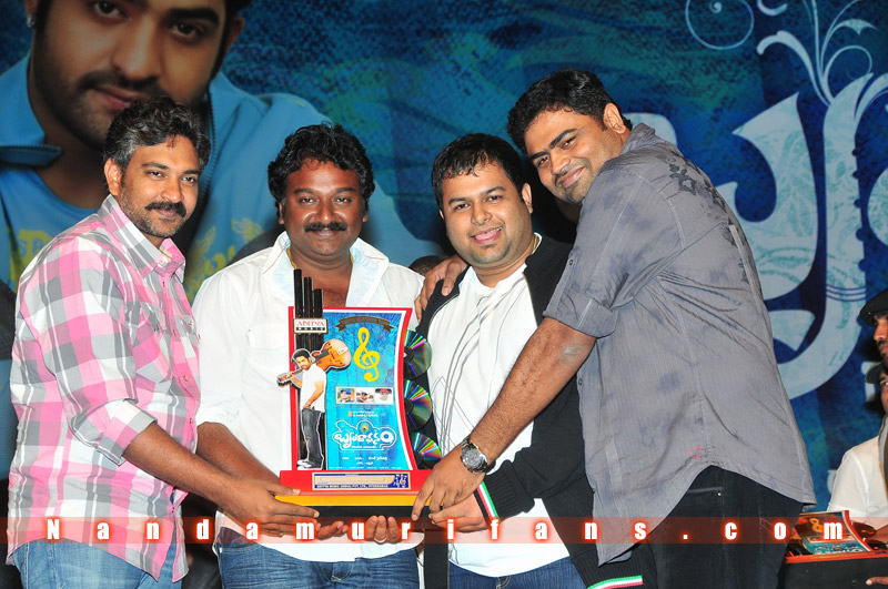 Brindavanam_TPD_062.jpg
