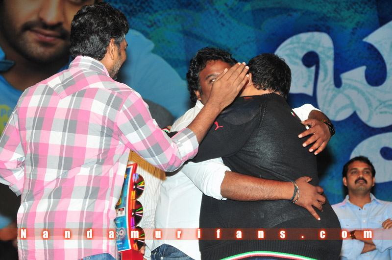 Brindavanam_TPD_063.jpg