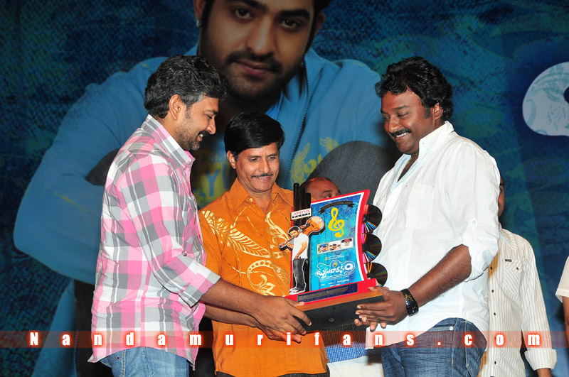 Brindavanam_TPD_068.jpg