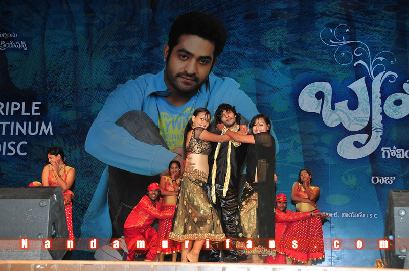 Brindavanam_TPD_072.jpg