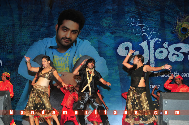 Brindavanam_TPD_075.jpg
