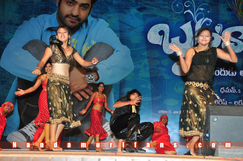 Brindavanam_TPD_076.jpg