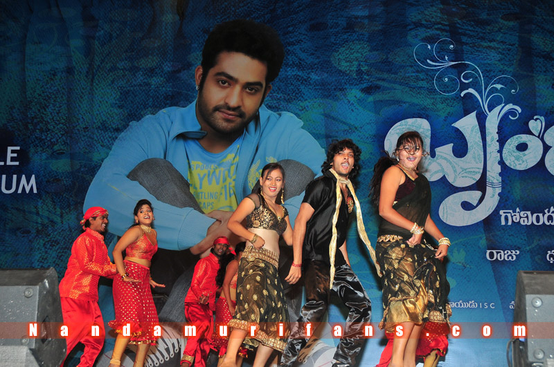 Brindavanam_TPD_078.jpg