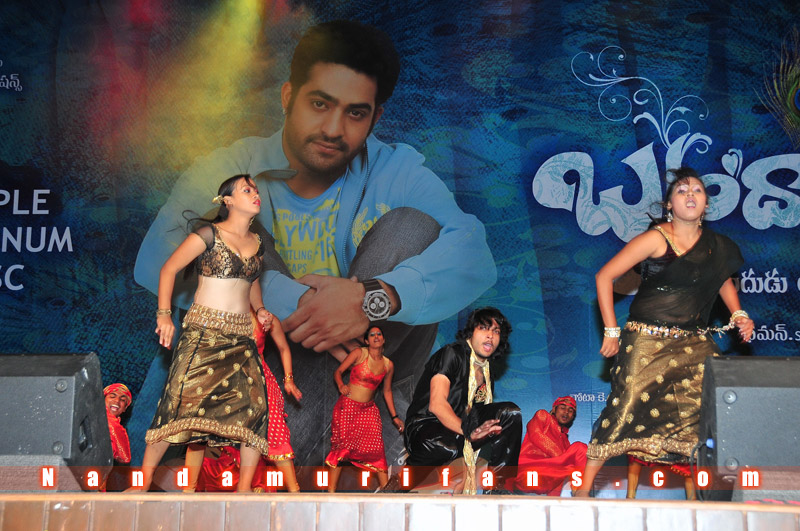 Brindavanam_TPD_080.jpg