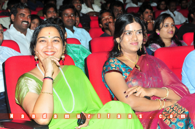 Brindavanam_TPD_084.jpg