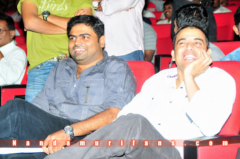 Brindavanam_TPD_087.jpg