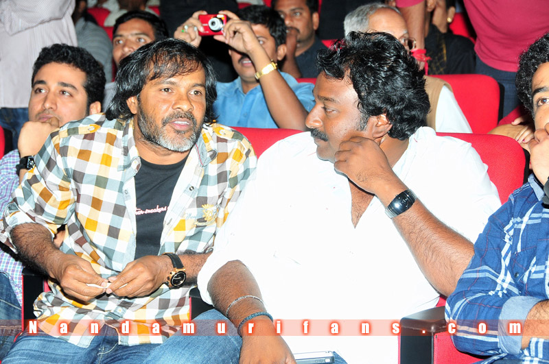 Brindavanam_TPD_095.jpg