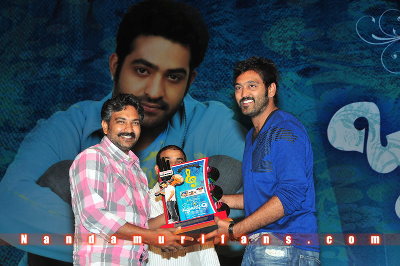 Brindavanam_TPD_096.jpg