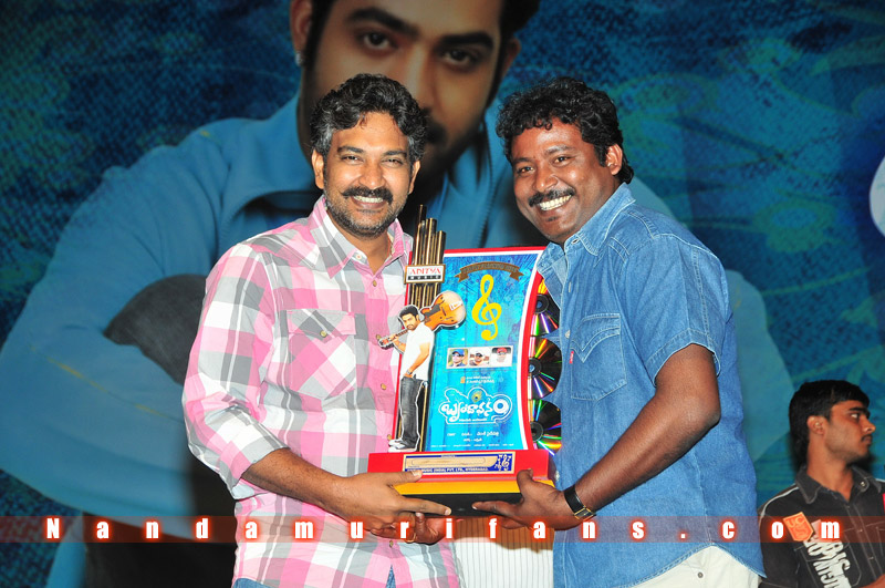 Brindavanam_TPD_097.jpg