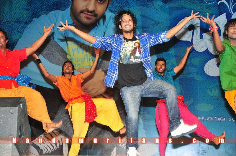 Brindavanam_TPD_108.jpg