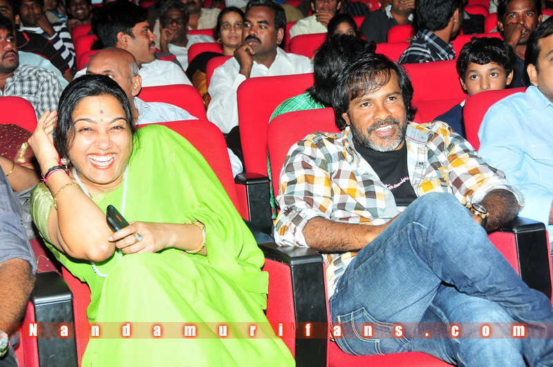Brindavanam_TPD_123.jpg