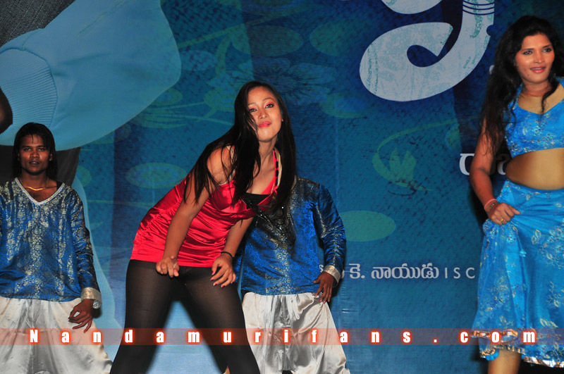 Brindavanam_TPD_125.jpg