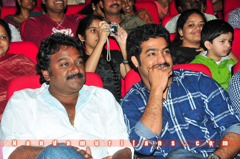 Brindavanam_TPD_130.jpg