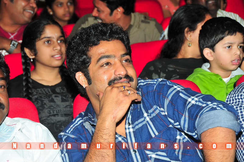 Brindavanam_TPD_132.jpg