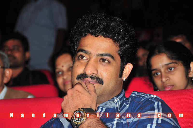 Brindavanam_TPD_138.jpg