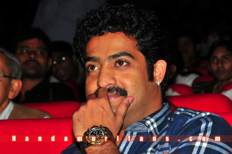 Brindavanam_TPD_139.jpg