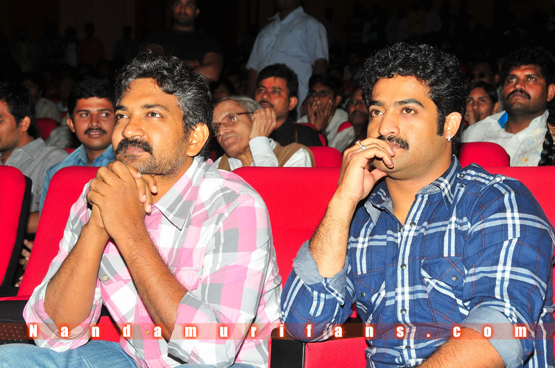 Brindavanam_TPD_140.jpg