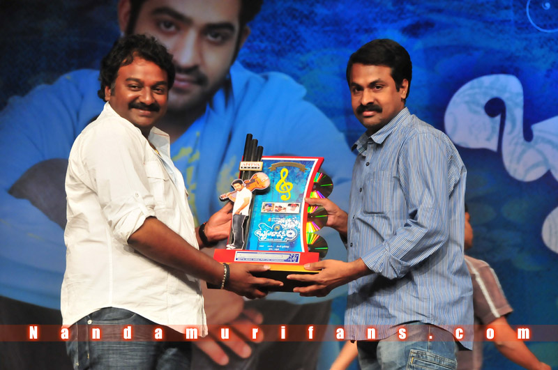 Brindavanam_TPD_143.jpg